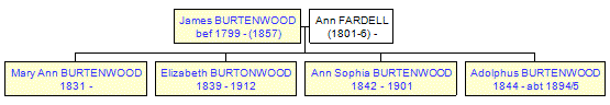 Mini tree diagram