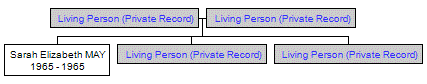 Mini tree diagram