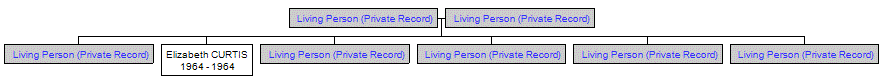 Mini tree diagram