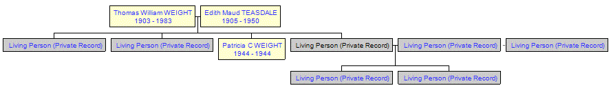 Mini tree diagram