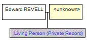 Mini tree diagram