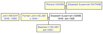 Mini tree diagram