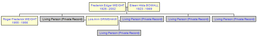 Mini tree diagram